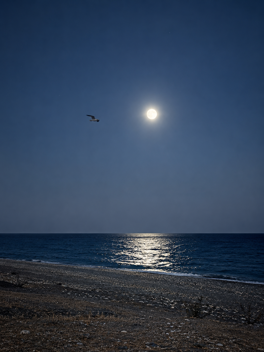 Moonlight reflected in silver across the Alboran Sea.