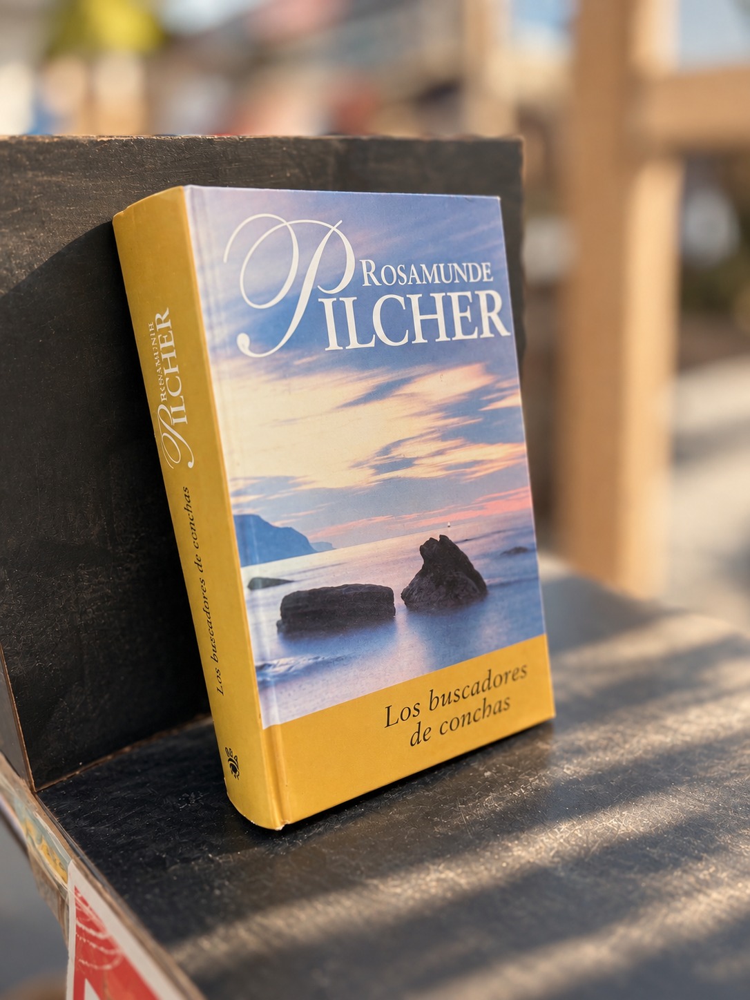 A book and a quiet room overlooking the sea